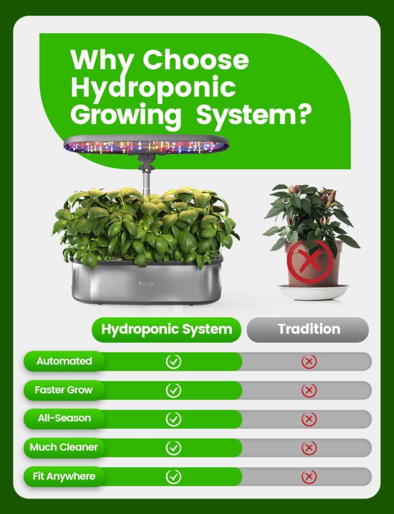 Hydroponics Growing System Indoor