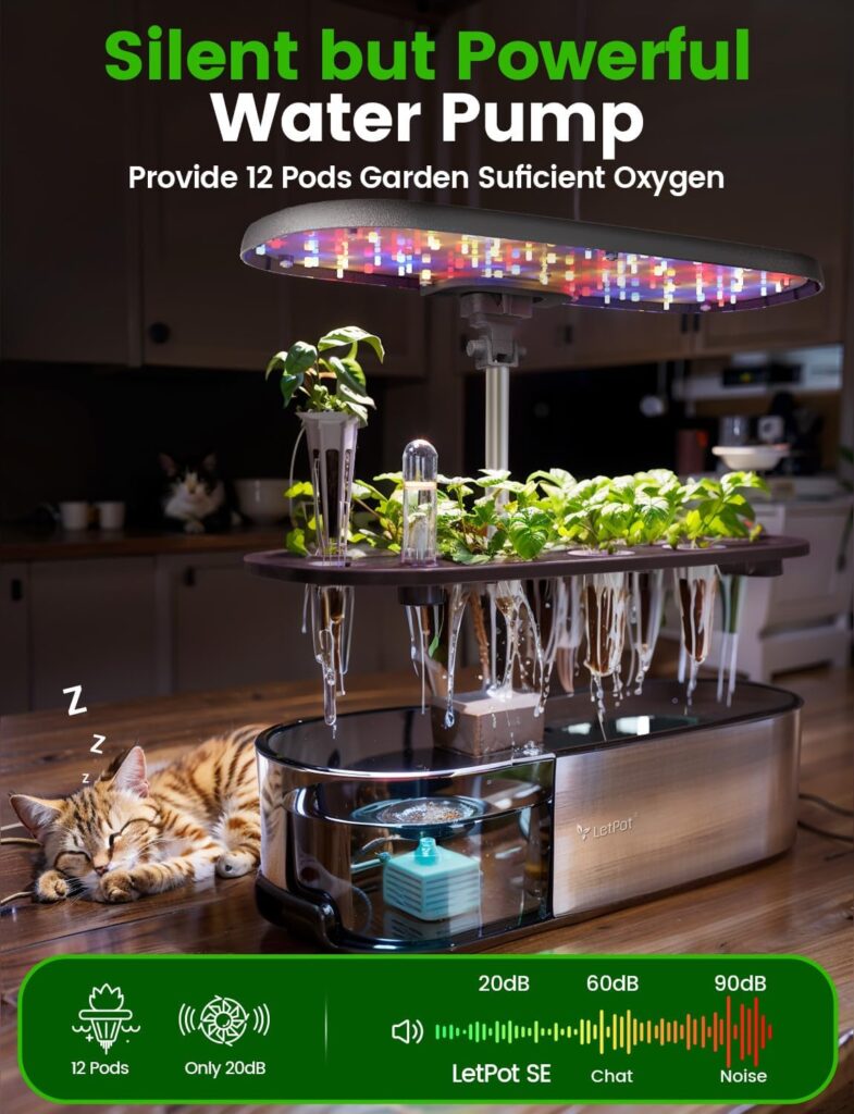 Hydroponics Growing System Indoor