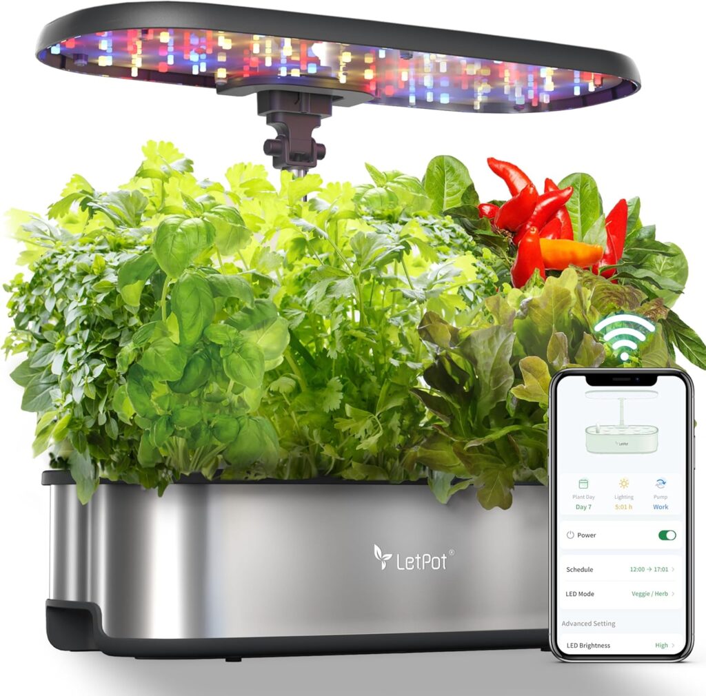 Hydroponics Growing System Indoor